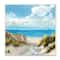 Stupell Industries Coastal Path to Beach Nautical Grass Cloudy Summer Sky,12" x 12"